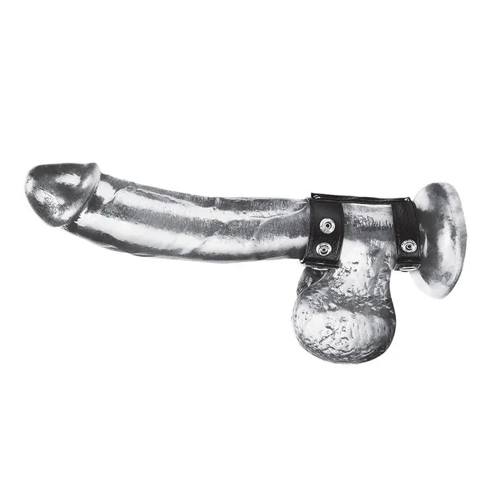 Blue Line Men Duo Snap Cock Ball Ring Male Sex Toys